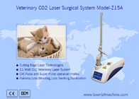 Tıbbi Cerrahi Lazerli Mikroişlemci Kontrollü CO2 Lazer Makinesi
