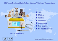 Evcil Hayvanlar İçin Yara İyileşmesi İçin 980nm Diyot Veteriner Lazer Tedavisi