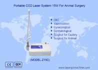Taşınabilir LCD Veterinerlik Co2 Lazer Hayvan Cerrahisi için Co2 Lazer Cerrahi Cihaz