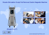 Yağ yakma kilo kaybı Ems Rf Elektromanyetik Vücut Heykel Makinesi