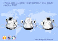 3 El Cryolipolysis Zayıflama Makinesi Kilo Kaybı Güzellik Ekipmanları CR02