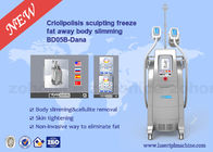 Profesyonel serin vücut şekillendirici, serin teknoloji yağ dondurma makinesi / yağ azaltma makinesi