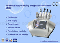 400W diyot Lipo lazer Cryolipolysis zayıflama makine vücut güzellik makinesi yeni teknoloji ile