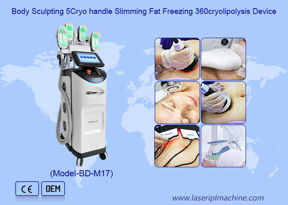Profesyonel Cryolipolysis zayıflama makine kilo kaybı Güzellik Ekipmanları
