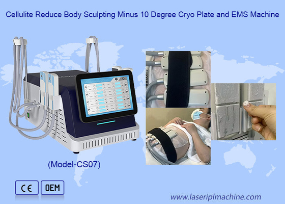 2 in 1 Cryo Plate ve EMS Yağ Dondurma Cilt Sıkıştırma Makinesi