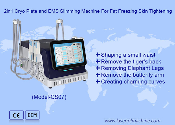 2 in 1 Cryo Plate ve EMS Yağ Dondurma Cilt Sıkıştırma Makinesi