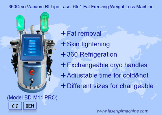 650nm - 550 nm Cryolipolysis için makine zayıflama vücut şekillendirme / deri sıkma