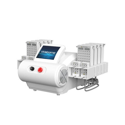 İyi bir fiyat. EMS Pads 635nm 650nm 940nm 980nm LipoLaser yağ çekme makinesi çevrimiçi