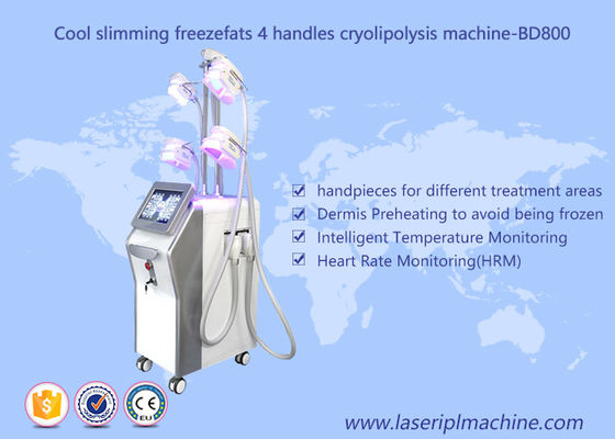 İyi bir fiyat. 4 Kolu Kilo Kaybı Cryolipolysis Makinesi / Yağ Donma Vakum Kavitasyon Zayıflama Makinesi çevrimiçi