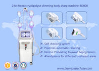 Şekil Vücut Cryolipolysis Zayıflama Makinesi, Lipo Cryo Cryolipolysis Güzellik Ekipmanları