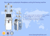 Cryolipolysis Yağ Donma kaybı Zayıflama Makinesi Vakum Kavitasyon Rf Makinesi
