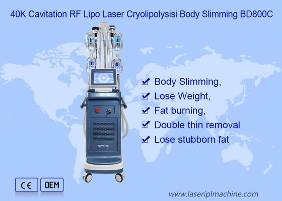 9 1 Vakumlu 800VA Cryolipolysis Zayıflama Makinesi