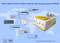 650nm 810nm 980nm 1064nm Diyot Lazer Epilasyon Hayvan Kullanımı İçin Taşınabilir