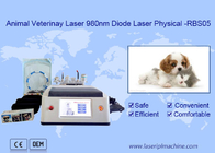 Hayvan Kullanımı Taşınabilir 980nm Diyot Lazer Makinesi Beyaz Çok Fonksiyonlu İşlev