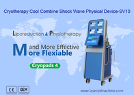 Cryolipolysis Termal Ems Shockwave Makinesi Ağrı Giderici Güzellik 4 Soğuk Ped
