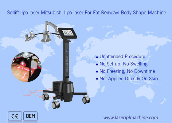 İyi bir fiyat. 220v Taşınabilir Cryolipolysis Makinesi 6d Lipolaser Zerona Güzellik çevrimiçi