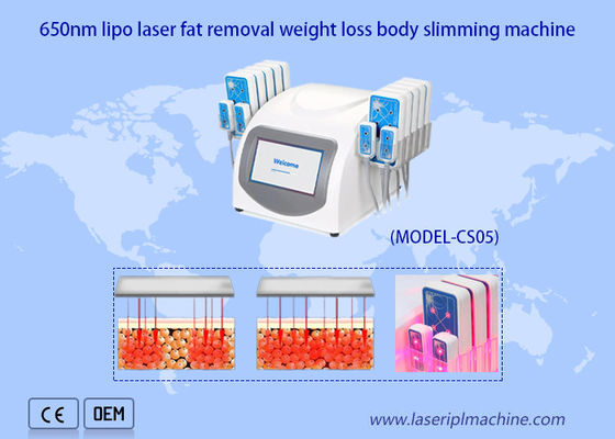 İyi bir fiyat. Taşınabilir 650nm Lipo Lazer Makinesi Ultrashape Vücut Zayıflama Kilo Kaybı çevrimiçi