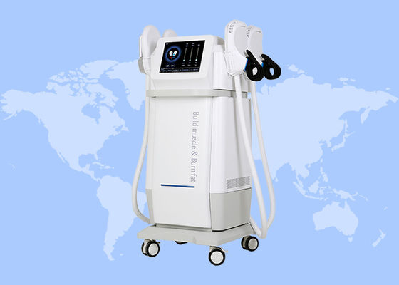 İyi bir fiyat. Kas geliştirme ve yağ yakma vücut heykel Fitness EMS ekipmanları çevrimiçi