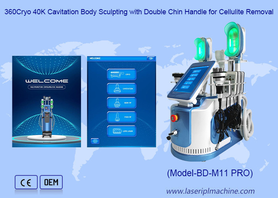 650nm - 550 nm Cryolipolysis için makine zayıflama vücut şekillendirme / deri sıkma