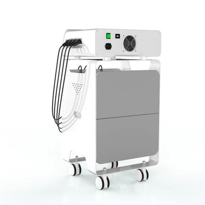 İyi bir fiyat. Ems Radyo Frekansı Eswt Ekipmanları Sırt Ağrısı Giderici Sağlık Hizmetleri çevrimiçi