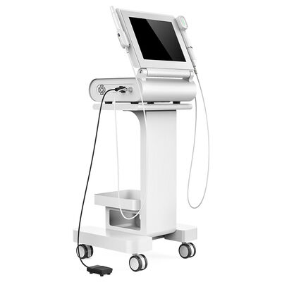 Yüz / Vajinal Sıkma için 2J Max Enerji 60hz Yüz Germe 3D HIFU Makinesi