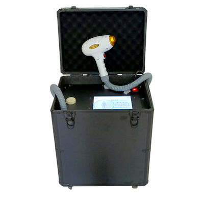 Taşınabilir Ağrısız Diyot Epilasyon Makinesi 755nm 1064nm 808nm Kalıcı