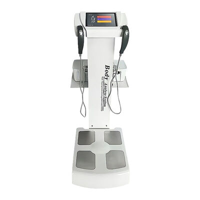 2 El 8 Nokta Temas 3 boyutlu vücut tarayıcısı ölçüm yazıcısı Vücut bileşimi analizatörü içerir