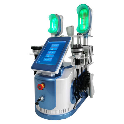 650nm - 550 nm Cryolipolysis için makine zayıflama vücut şekillendirme / deri sıkma