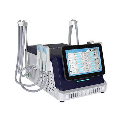 İyi bir fiyat. 360 Çevre Cellulit Azaltma Cryo Plate ve EMS İğne Makinesi çevrimiçi