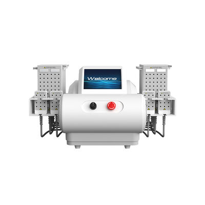 635nm 650nm 940nm 980nm Diyot Lazer EMS Plate Liposuction Body Slimming Machine
