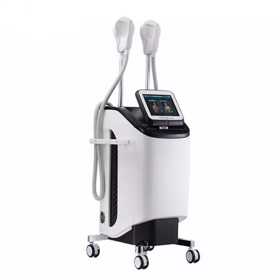 İyi bir fiyat. 2.3KVA Vücut Zayıflama 220v 300µS EMS Kas Stimülatörü çevrimiçi