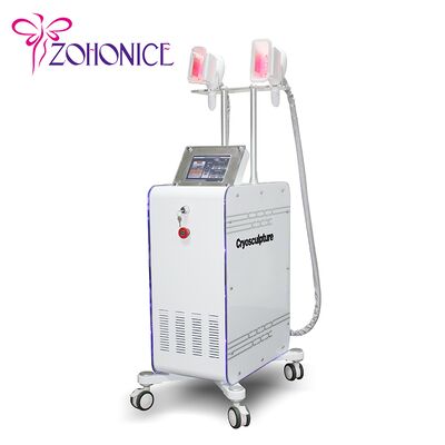 İyi bir fiyat. 2 değiştirilebilir kolu Cryolipolysis zayıflama makine ile Antifreezing Membrance çevrimiçi