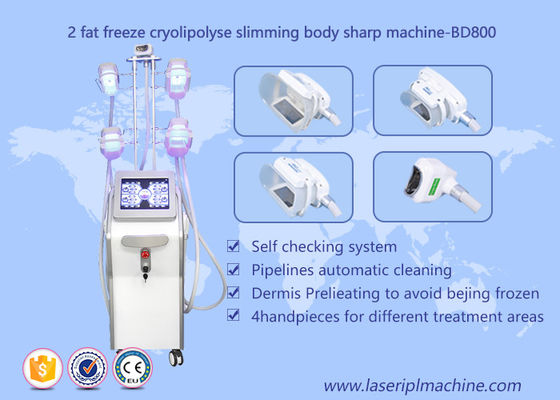 İyi bir fiyat. Şekil Vücut Cryolipolysis Zayıflama Makinesi, Lipo Cryo Cryolipolysis Güzellik Ekipmanları çevrimiçi