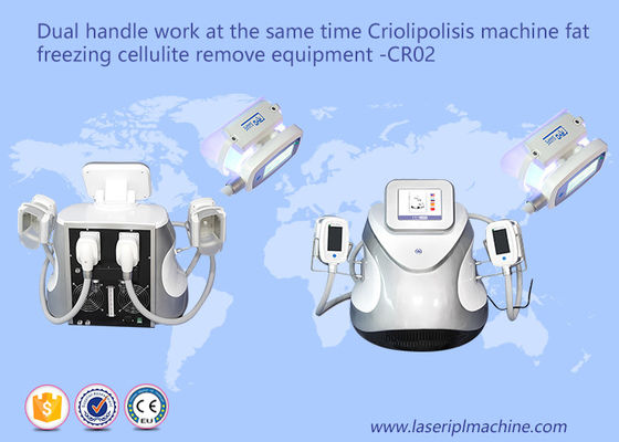 İyi bir fiyat. Çift Saplı Yağ Donma Selülit Kilo Kaybı Makineleri CR02 110 v / 220 v çevrimiçi