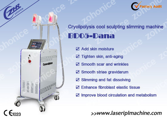 İyi bir fiyat. 2 değiştirilebilir kolu Cryolipolysis zayıflama makine ile Antifreezing Membrance çevrimiçi