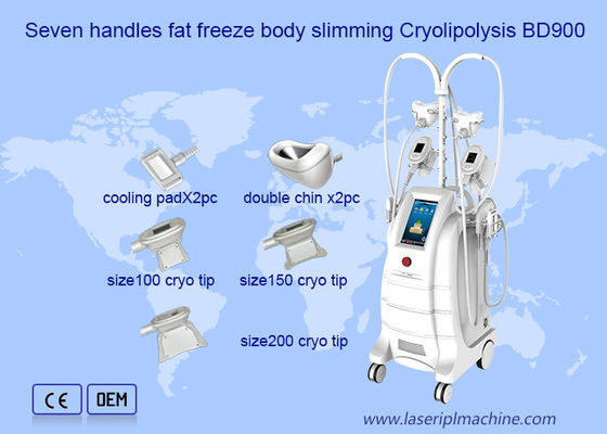 İyi bir fiyat. Yağ Dondurucu Çift Çene Temizleme Cryolipolysis Makinesi çevrimiçi