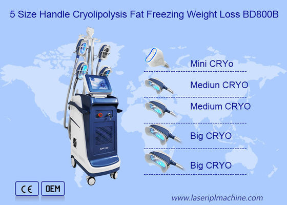 İyi bir fiyat. 360 Açılı Dikey Çift Çene Cryolipolysis Zayıflama Makinesi çevrimiçi